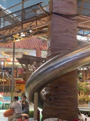 -卡通尼·Safari非洲探索乐园·生日会(金桥国际商业广场店)