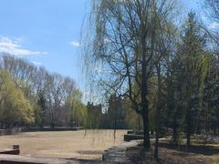-黑龙江省森林植物园