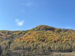 -御道口草原森林风景区