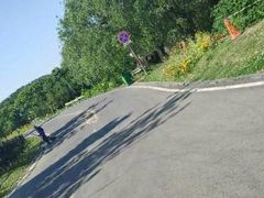 -习家池