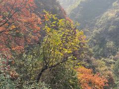 -西安金龙峡风景区