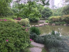 -新湖明珠城