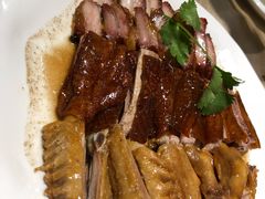 -张记旺角食街(动物园店)