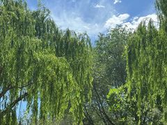 -石家庄市动物园