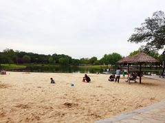 -上海佘山世茂艾美酒店