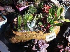 -南通洲际绿博园