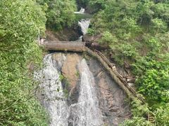 -广州白江湖森林公园