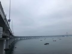 -星海湾跨海大桥