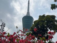 -梧桐山风景名胜区