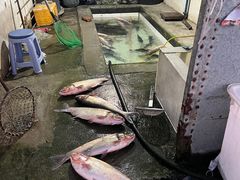 -庆岭迎宾园正宗活鱼馆