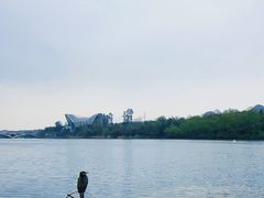 -忆咖啡观景餐厅(桂林象山公园店)