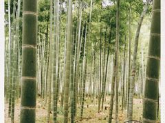 -径山寺