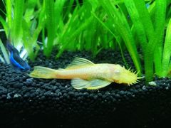 -上海海洋水族馆