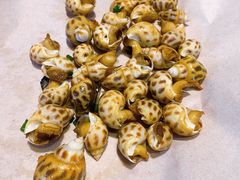 椒盐花螺-大笑饭堂(甲子桥店)