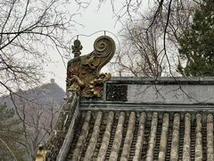 -潭柘寺景区