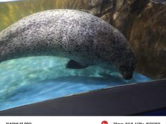 -常州海昌海洋探索馆