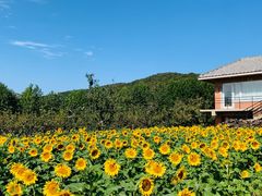 -大连北马山庄