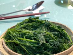 蒸面条菜-鹊华居·地道鲁菜·海鲜·融合味(大明湖店)