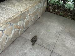 -成飞公园