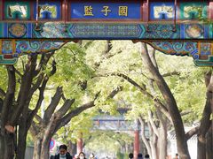 -北京国子监胡同