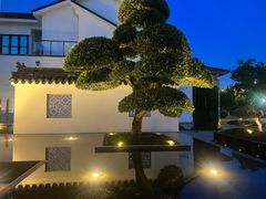 -广富林宰相府酒店·水云间