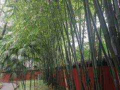 -成都武侯祠博物馆