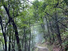 -云碧峰国家森林公园