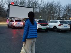 -枫花园汽车电影院(朝阳公园店)