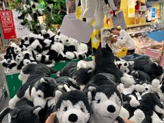 -长城汽车哈弗（重庆顺凯4S店）-地上停车场