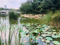 -大连植物园