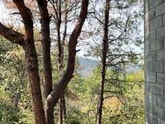 -青龙山国家森林公园