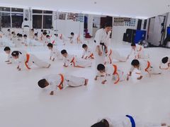 -极真空手道修远道场