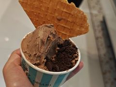 -高汐尔手工鲜冰淇淋(恒隆广场店)