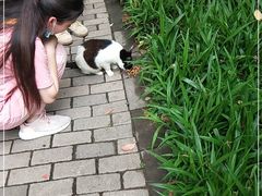 -静安公园(静安寺街道)