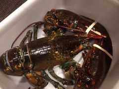 -鱼乐轩海鲜专门店