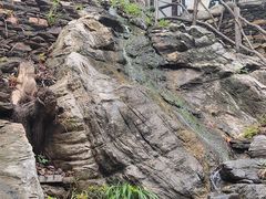 -天毓山庄·餐厅