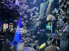 -海合安青岛极地海洋公园
