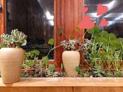 -四姑娘山阿巴郎·藏式花园餐厅