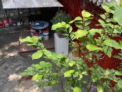 -程府宴-国宴(南长街·四合院店)