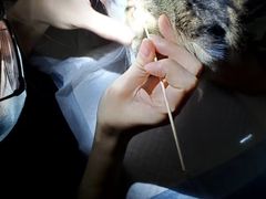 -美联众合动物医院·24h转诊中心