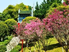 -重庆园博园