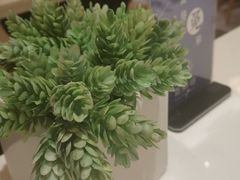 -赛百味(仙林金鹰店)