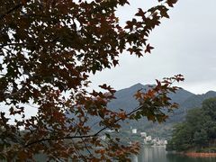 -广州市流溪河国家森林公园