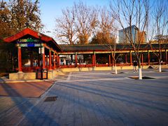 -莲花池公园