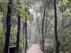 -云龙山