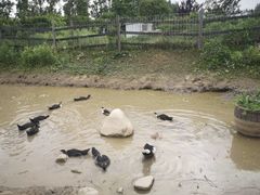 -前小桔亲子创意农场·草莓采摘·露营烧烤