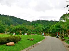 -火炉山森林公园