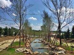 北纬44度·金珠花海景区-北纬44度·金珠花海休闲农业旅游景区