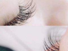 -合肥滨湖国家森林公园