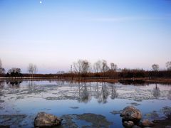 -大兴滨河森林公园